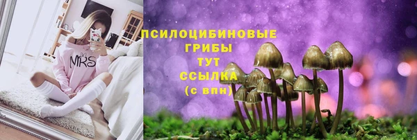 соль ск Армянск